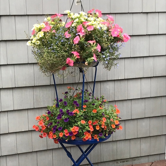 Meet your Posher, Christine - Picture 1 of 7